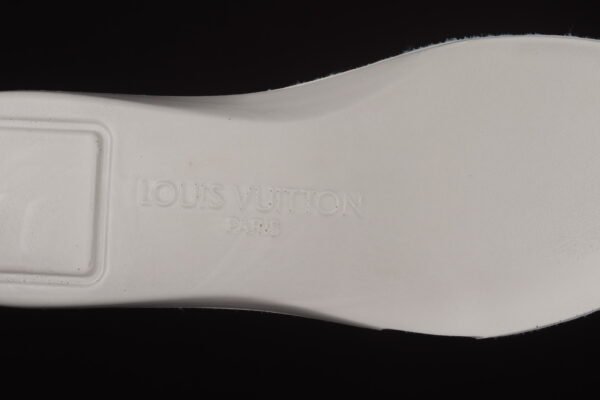 LV collaboration（2021sLVTrainer）