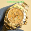 Rolex Men's Watch（599WB4811263600）