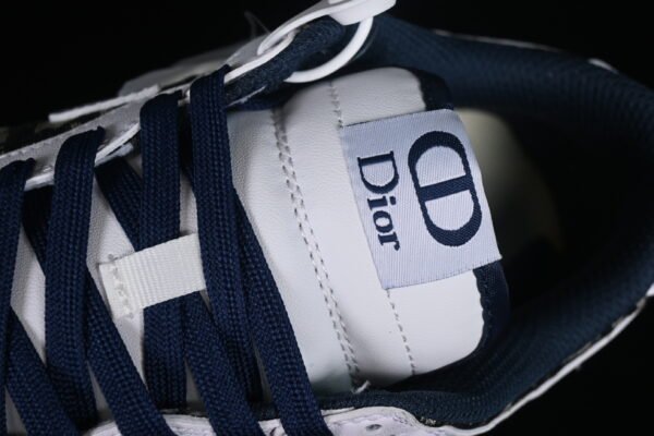 Nk SB Dunk Low Dior Anniversary High end Customized Low cut Casual Board Shoes（DR9158-007）